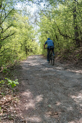 A man riding a bicycle on the driveway in the park.