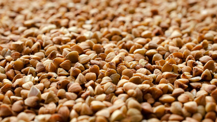 Buckwheat grains background, texture, top view. Dry grains of buckwheat, background, top view. Buckwheat kernel, background. Pile of buckwheat, background, texture, top view.