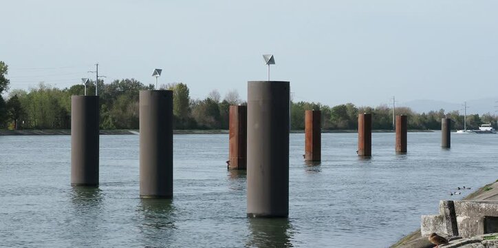 Grand Canal d'Alsace. Navigation, croisi&egrave;re sur le Rhin en provenance de B&acirc;le. Passage en aval des Trois Fronti&egrave;res le long de la petite Camargue Alsacienne sur l'&iuml;le sur le Rhin