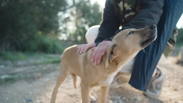 Woman is stroking a small red puppy, he is scared and trembling, with his tail between his legs.