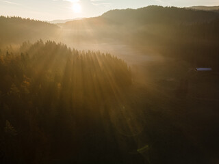 Sunrise over the forest on a misty morning