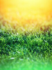 Naklejka premium green grass background