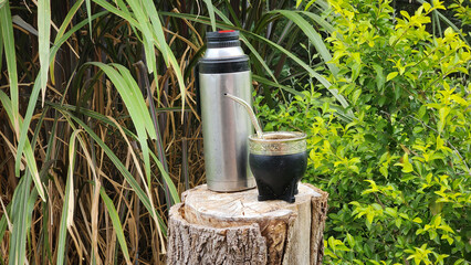 mate and thermos on trunk and green background of leaves in the field, argentina horizontal