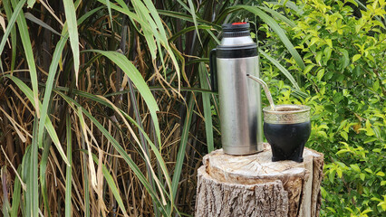 mate and thermos on trunk and green background of leaves in the field, argentina horizontal