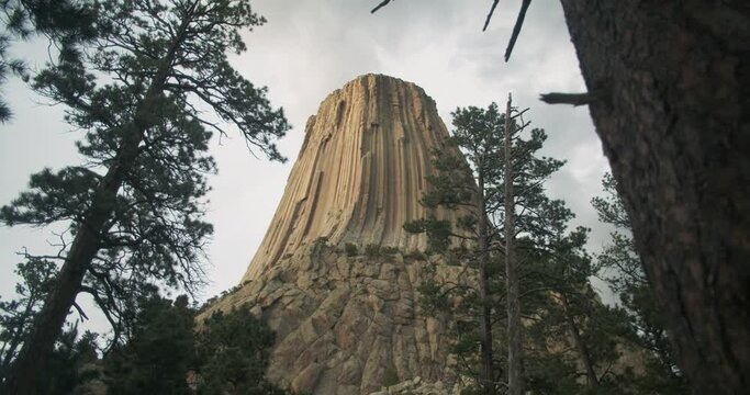 Devil's Tower View