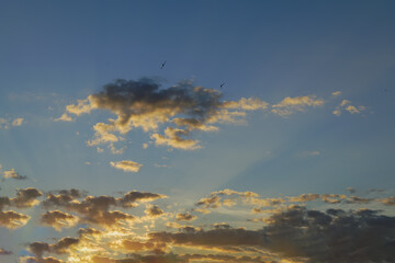 Summer evening sky in the picturesque clouds, lit by the rays of the setting sun.