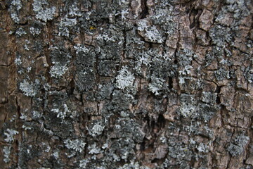 texture