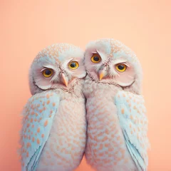 No drill roller blinds Owl Cartoons A cute, little two baby owls hug each other, a symbol of love. Pastel, creative, animal concept. Valentine's Day, a small owl couple in a pet relationship. Illustration. Generative AI.