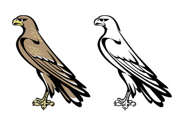 illustration of a falcon - black & white and color version