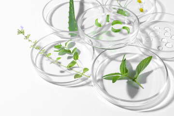 Petri dishes with different plants and cosmetic product on white background, closeup