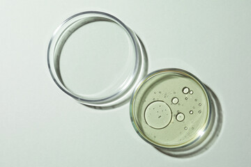 Petri dishes with essence on light grey background, top view