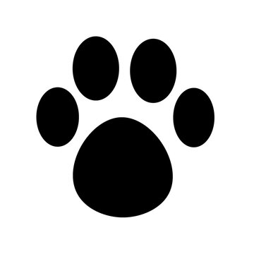 Patte de chat