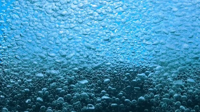Small shiny air bubbles escaping from grey paralon compressor tube or filter under water. Macro shot of working equipment for aeration of water with oxygen in aquarium on blue background. Slow motion.