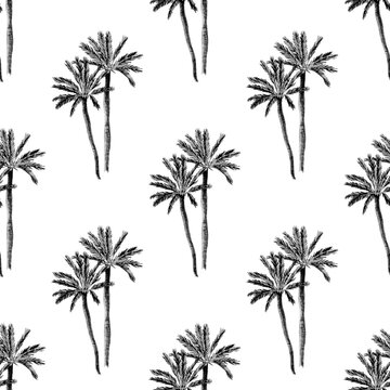 Palm trees seamless pattern on white background