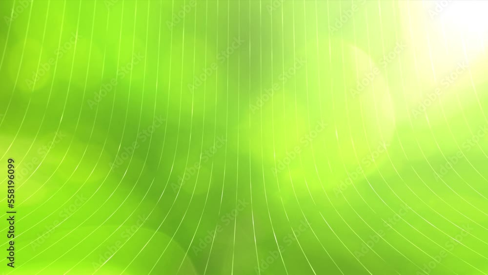 Poster artistic green sunny nature bokeh looped animation with digital lines motion network copy space back
