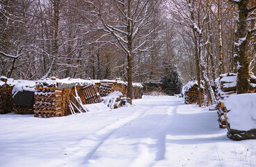 Naklejka premium Winterwetter Kaminholz Stapel 