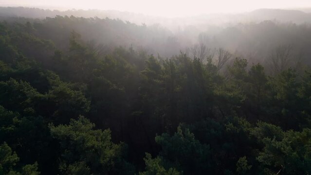 misty morning in the mountains