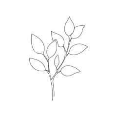 Outline plant eucalyptus leaf. One continuous line art decorative plant leaf. Editable stroke eucalyptus foliage floral element. Isolated vector illustration