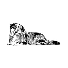 black and white drawing sketch of a dog with a transparent background for learning to color