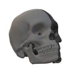 Obraz premium skull head human