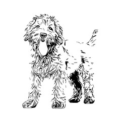 black and white drawing sketch of a dog with a transparent background for learning to color