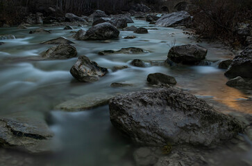 river in the forest