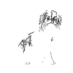 black and white drawing sketch of a dog with a transparent background for learning to color