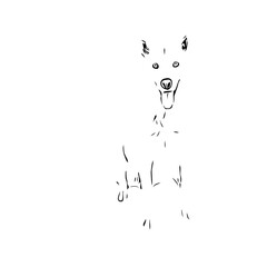 black and white drawing sketch of a dog with a transparent background for learning to color