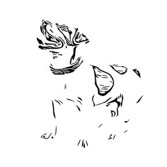 black and white drawing sketch of a dog with a transparent background for learning to color