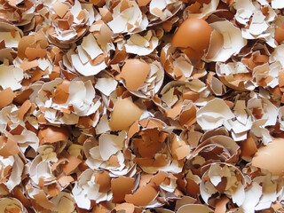 Top view of crushed and cracked eggshells for make biofertilizer