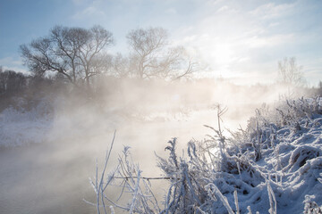 trees and grass in the frost by the river in winter before christmas