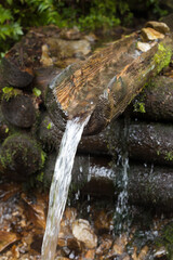 Mountain brook. Wooden log well.
