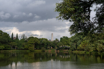 Fototapeta na wymiar Sao Paulo, Brazil, skyline with the reflection of trees in the lake