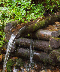 Fototapeta premium Mountain brook. Wooden log well.