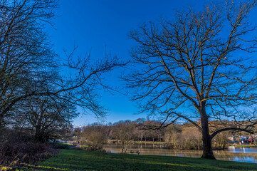 Fototapeta na wymiar A view past bare trees towards the boating lake in the central park in Corby, Northampton, UK on a bright winters day