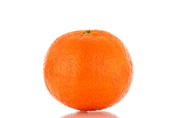 One sweet organic tangerine, macro, isolated on white background.