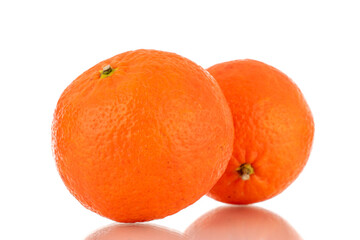 Two sweet organic tangerines, macro, isolated on white background.