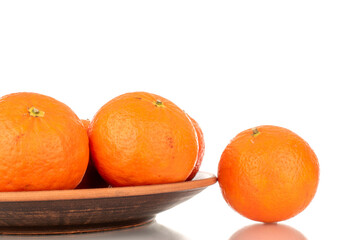 Several sweet organic tangerines with a clay plate, macro, isolated on white background.