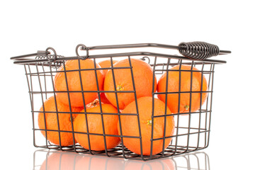 Several sweet organic tangerines in a basket, macro, isolated on white background.