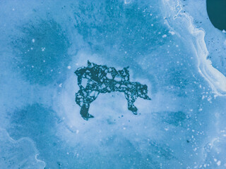 The outline of an animal on the surface of the ice that fell into the lake. Panoramic aerial view of a frozen lake and cracked ice. Body of animal in the middle of a frozen lake. Hole in a frozen lake