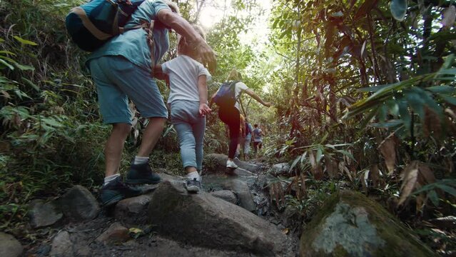 Family hiking in the tropical forest. Extended family with kids explore the trail and hike in the lush jungles