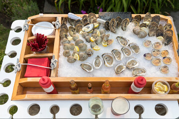 Overhead view of raw bar oysters and clams on ice