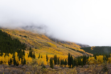 Mountain peak covered in clouds and yellow aspens.