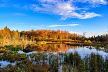 Fall in New England, Vermont, United States