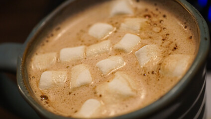 Fototapeta na wymiar hot chocolate with marshmallows in a cup