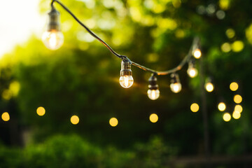 Hanging light bulb lamps with natural background