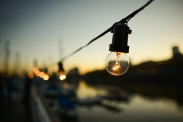 Filaments of a light bulb lamp