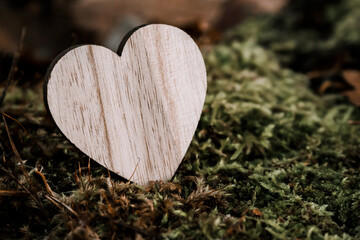 small wooden valentines heart on moss