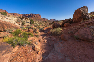 hiking the murphy trail loop in the island in the sky in canyonlands national park, usa