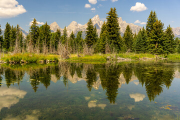 Obraz premium Grand Teton National Park 